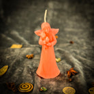 Parlour of Wonders Cat Guardian Spirit Candle Spell Kit with red candle, pet protection and healing symbols, and spell tools.