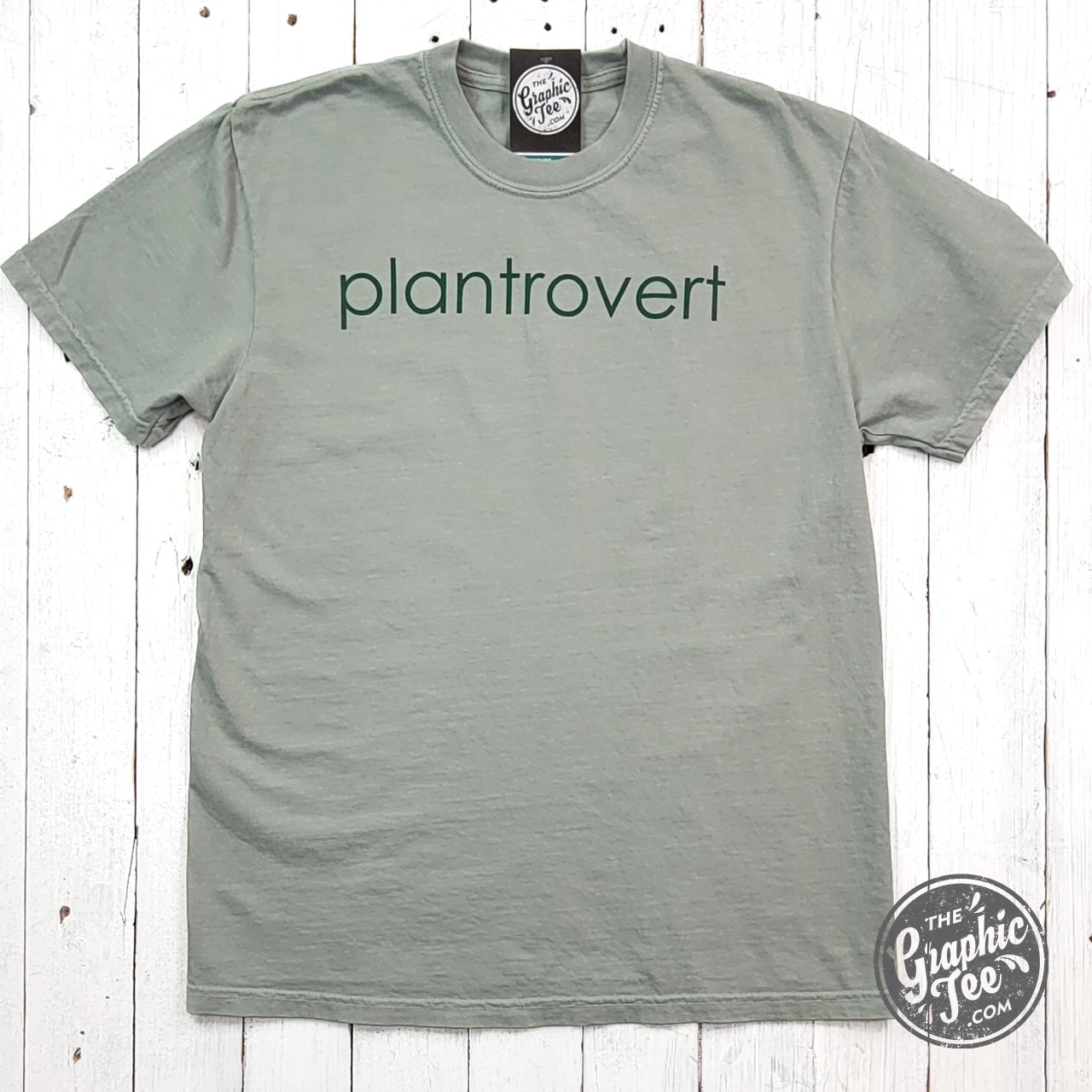 Plantrovert Round Pigment Dyed Tee by The Graphic Tee, casual short-sleeve graphic T-shirt with a vibrant plant-themed design.