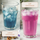 Dried butterfly pea flowers from Plum Deluxe Tea, vibrant blue petals used for herbal teas and natural coloring.