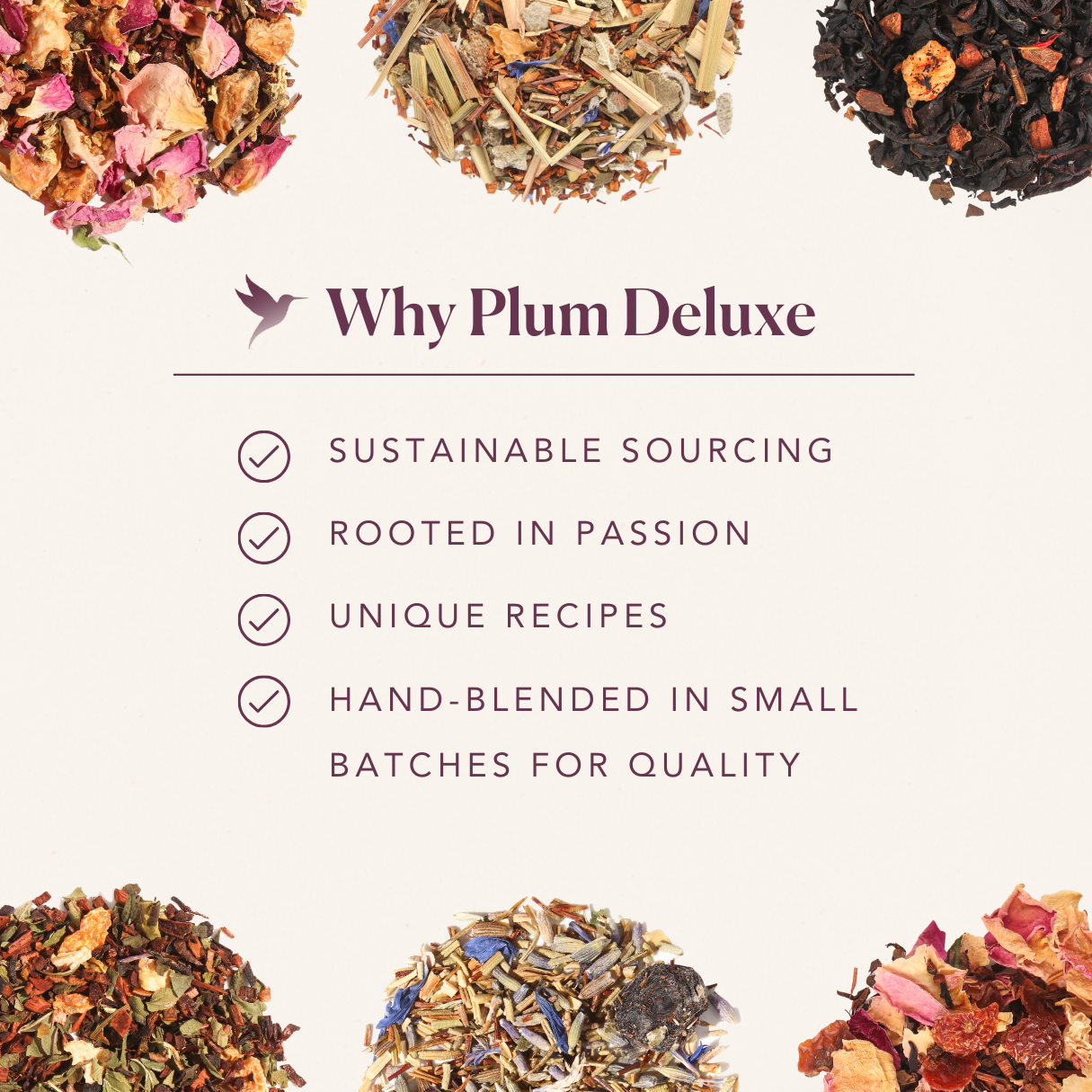 Image of Plum Deluxe Tea Caramel Brittle Puerh in a teacup, showcasing the rich, dark tea with caramel and brittle flavor notes.