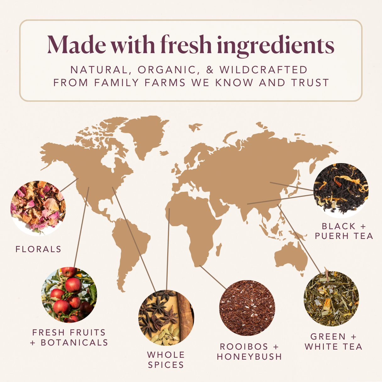 A cup of Plum Deluxe Chocolate Hazelnut Dessert Tea with rich chocolate and hazelnut flavors in a cozy setting.