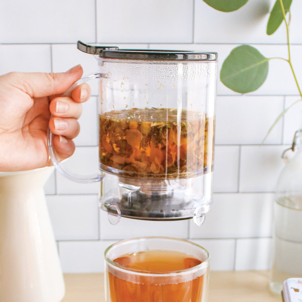 Plum Deluxe Tea Perfect Tea Maker brewing loose leaf tea in a glass infuser with a handle and lid, on a kitchen countertop.