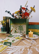 Green Glyphs Box Set bundle by Prisma Visions featuring vibrant, intricately designed glyphs on various cards.
