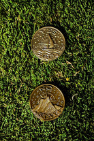 Prisma Visions Coin of Decisions, a round metal coin with engraved designs, symbolizing choices and decision-making.