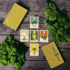 Green Glyphs Lenormand deck by Prisma Visions featuring vibrant green and intricate card designs for fortune-telling.