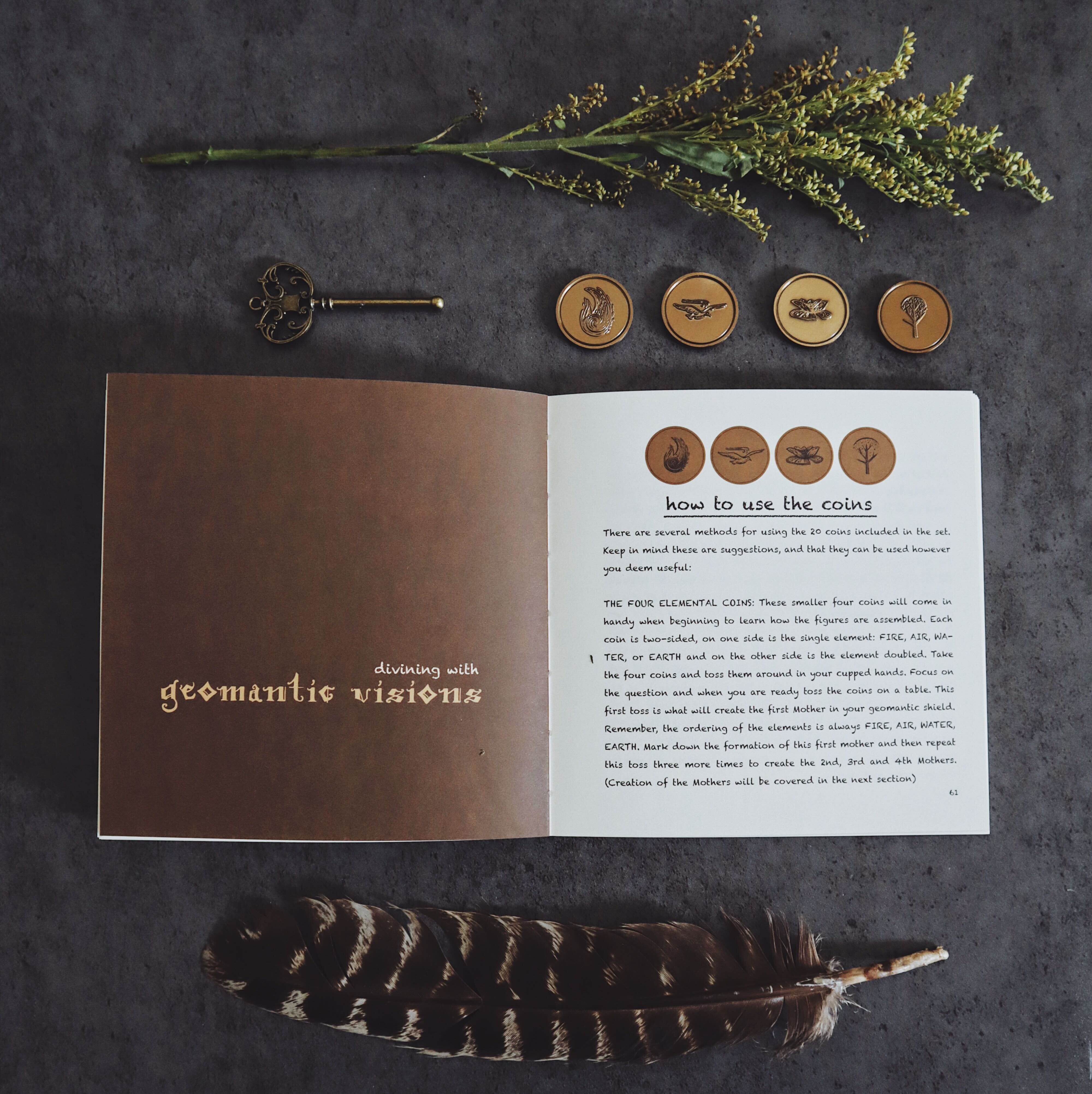 Set of 20 Prisma Visions Geomancy Coins showing intricate symbols and designs for divination and geomantic practices.