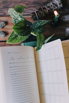 Prisma Visions Divination Diary journal with mystical cover and intricate designs, ideal for daily reflections and tarot insights.