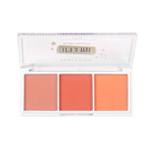 Profusion Cosmetics It's a Vibe Admit One 3-Shade Blush Palette with pink and peach blushes and bronzer shades in sleek compact.