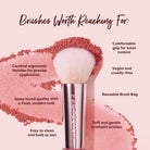 Profusion Cosmetics Face Essentials 3-piece face brush set with soft bristles and sleek handles for makeup application.