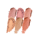 Profusion Cosmetics Blush 6 Shade Face Palette with a variety of pink and coral blushes in a sleek compact.