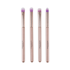 Profusion Cosmetics Starlet Eyes 5-piece eyeshadow palette and brush set with vibrant shades and professional applicators.