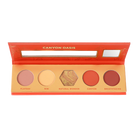 Profusion Cosmetics Blooming Beauty 5-shade eyeshadow palette with vibrant earth tones and floral-inspired packaging.