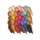 Profusion Cosmetics Pro Aritistry 35 Shade Eyeshadow Palette featuring a variety of warm and neutral tones for versatile eye looks