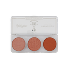 Harry Potter Hogwarts™ Beauty Set face product by Profusion Cosmetics featuring magical-themed packaging and skincare elements.
