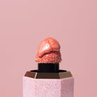 Profusion Cosmetics Shimmer Hour Liquid Blushlighter on face with peach and mimosa shades, highlighting a dewy, radiant complexion.