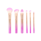 Profusion Cosmetics Crimson Brush Vault 6-piece makeup brush set with various brushes for face and eye makeup application.