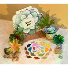 Profusion Cosmetics Desert Sage 25-Shade Makeup Palette with brushes, featuring earthy-toned eyeshadows and applicator tools.