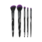 Profusion Cosmetics Mystic Blend 5-piece face and eye makeup brush set with soft bristles and sleek handles.
