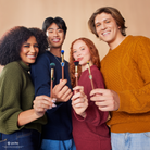 Harry Potter Holiday House Champions face and brush set by Profusion Cosmetics with themed makeup tools and brushes.