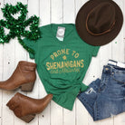 Heather green V-neck graphic tee with playful "Prone To Shenanigans And Malarkey" print by The Graphic Tee.