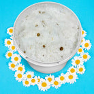 Sage & Stone Apothecary exfoliating chamomile flower scrub in a jar, showing the textured scrub with chamomile flowers for body care.