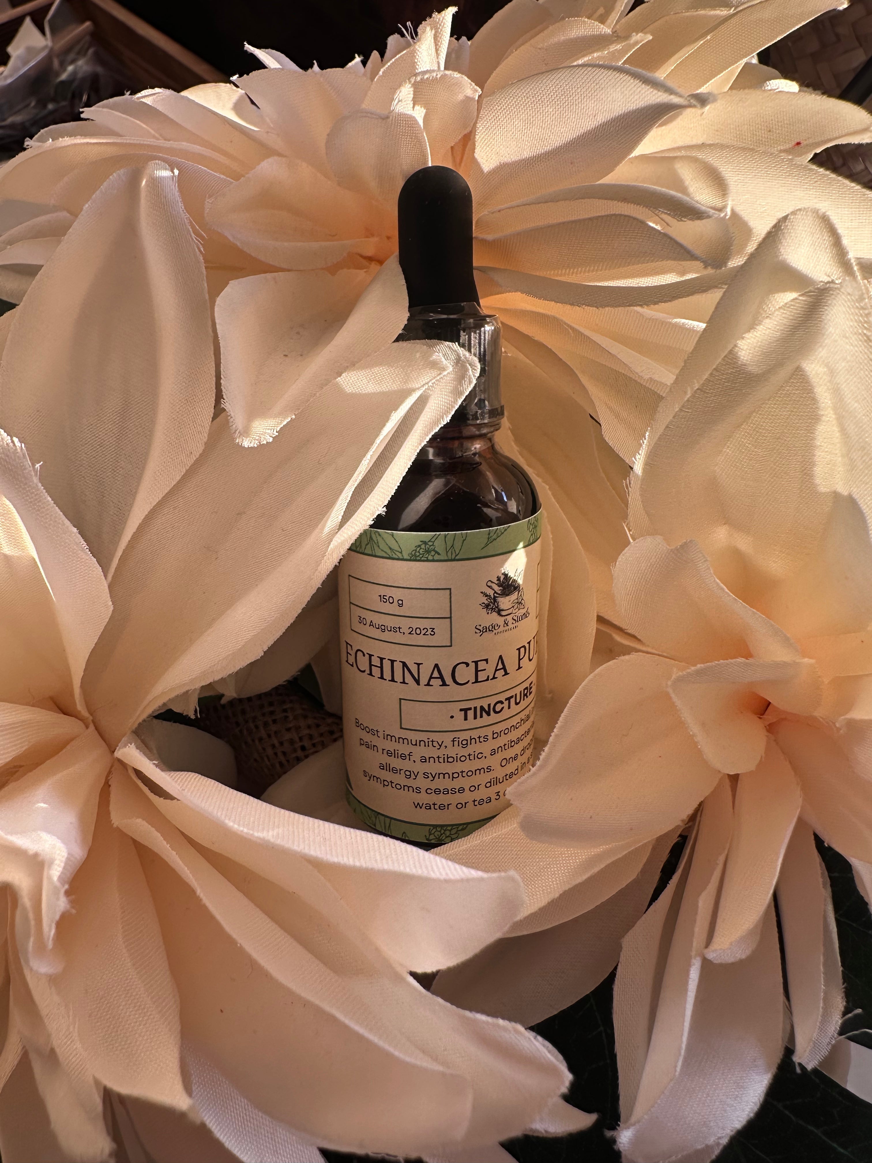 Echinacea tincture in a glass dropper bottle from Sage & Stone Apothecary, with herbal labels and natural packaging.