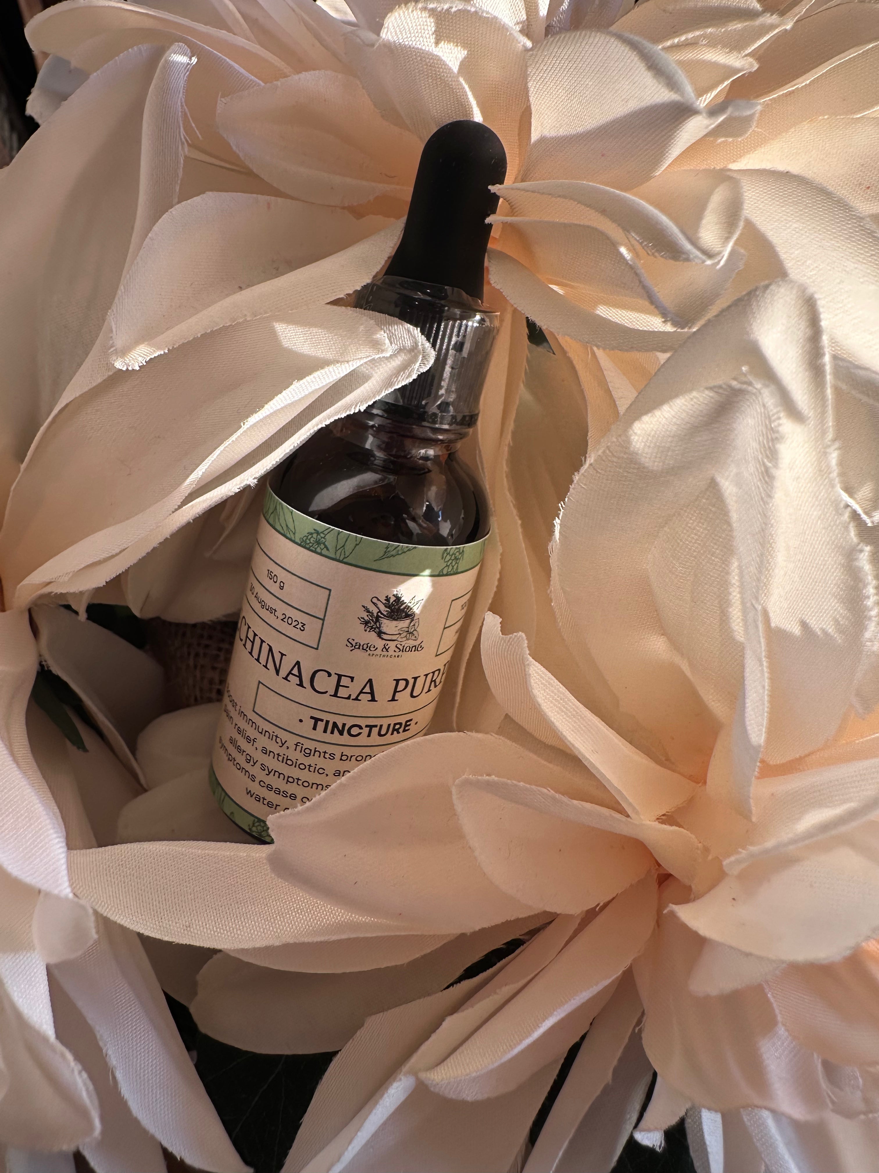 Bottle of Sage & Stone Apothecary Echinacea Tincture herbal supplement for immune support, with herbs and dropper cap visible.