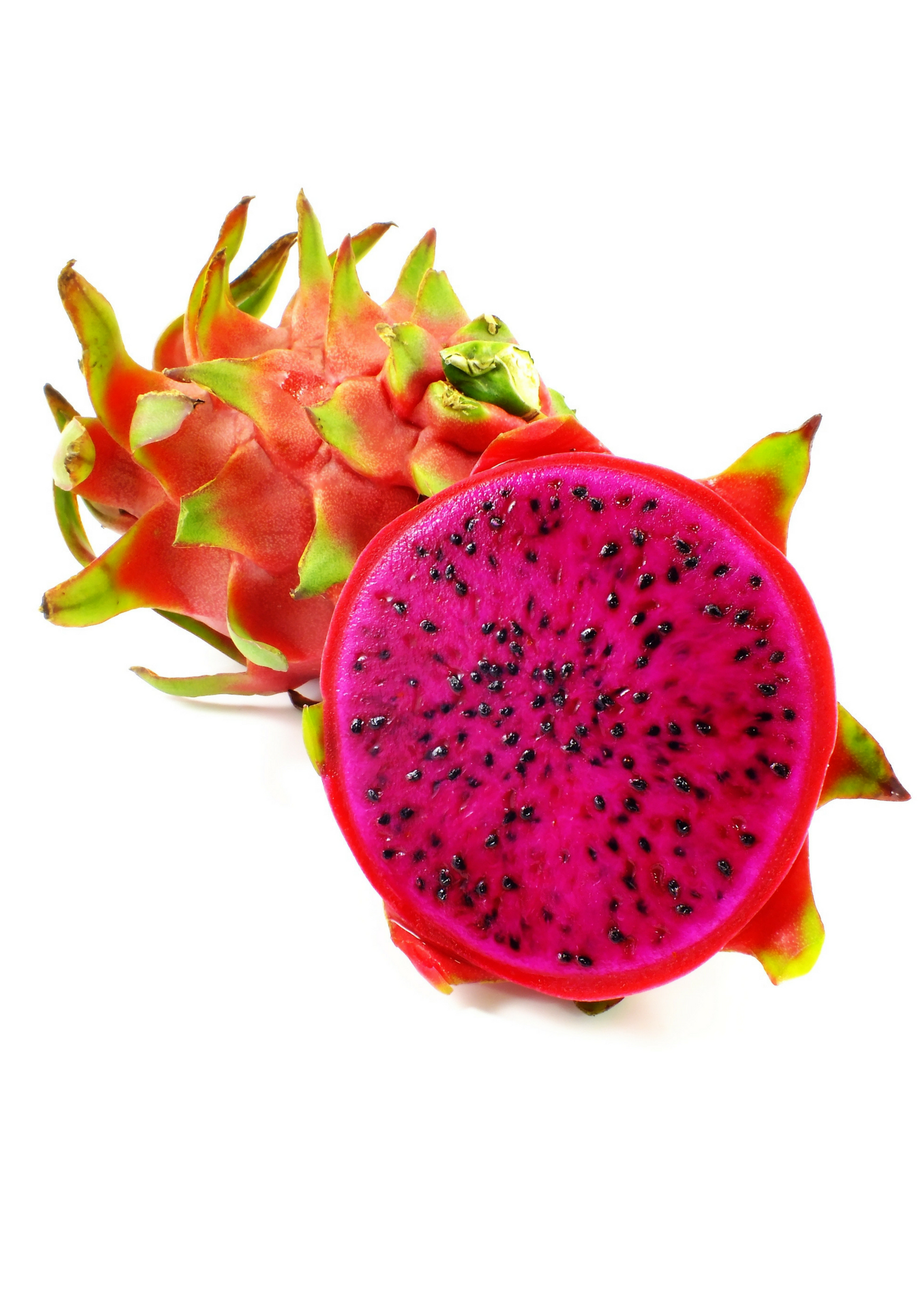 Red Dragon Fruit 'Tricia' fruiting plant in coconut coir pot, showcasing vibrant stems and developing fruit, by Sow Exotic.