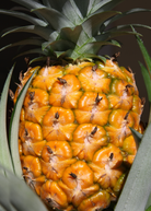 Pineapple 'Elite Gold' fruiting plant in coconut coir pot by Sow Exotic, with lush green leaves and ripe pineapple fruit.