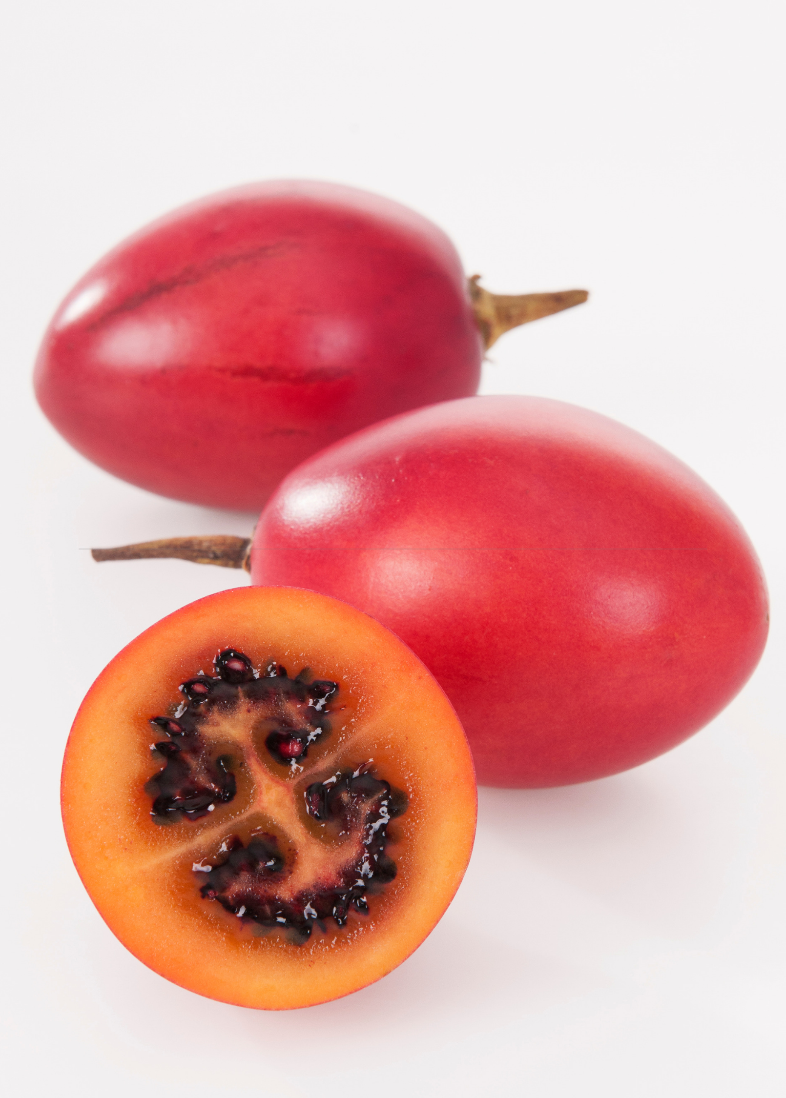 Red Tree Tomato fruiting plant in a coconut coir pot by Sow Exotic, showing vibrant red fruit and lush green foliage.