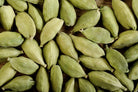 Fresh Cardamom herb in a coconut coir pot, showing lush green leaves of Sow Exotic's Elettaria cardamomum plant.