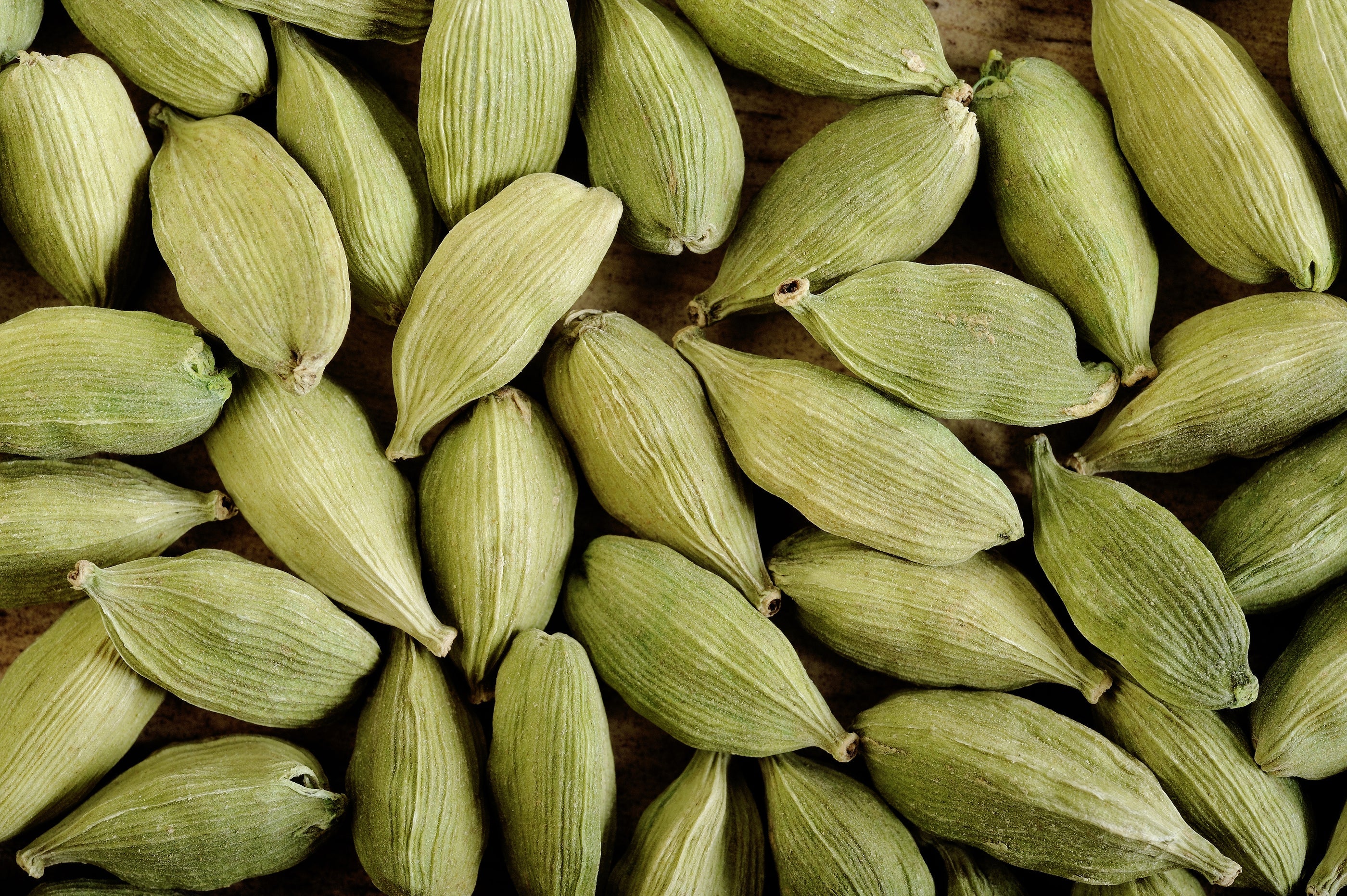 Fresh Cardamom herb in a coconut coir pot, showing lush green leaves of Sow Exotic's Elettaria cardamomum plant.