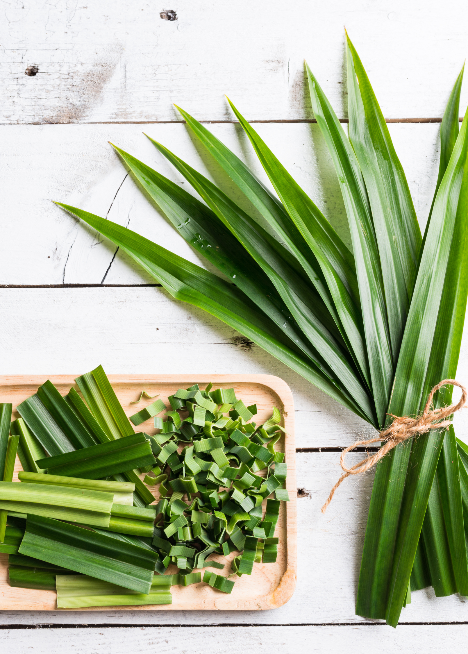 Pandan Leaf herb in a coconut coir pot, Sow Exotic brand, with lush green pandanus amaryllifolius foliage.