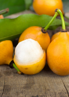 Large tropical fruit tree in a coconut coir pot, featuring Achacha (Garcinia humilis) from Sow Exotic.