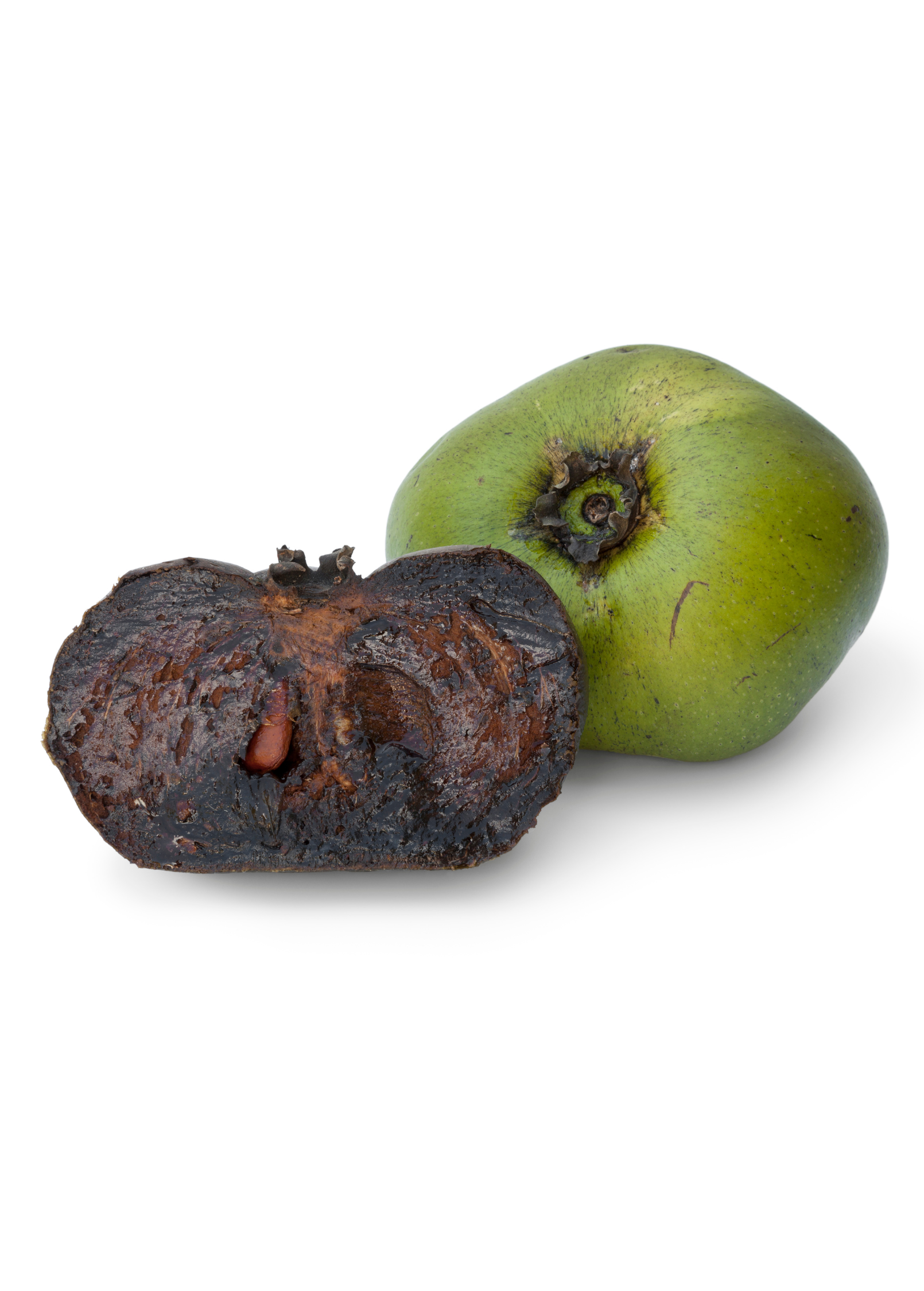 Large black sapote ‘Wilson’ tropical fruit tree in coconut coir pot, showing lush green foliage and healthy growth.