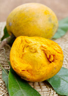 Large Canistel 'Arue' tropical fruit tree in coconut coir pot, grown by Sow Exotic, showcasing lush green foliage and healthy branches.