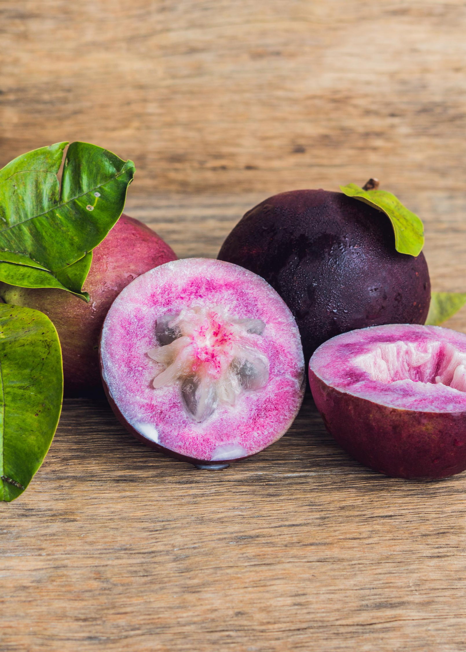 Purple Caimito star apple tropical fruit tree seedling in large coconut coir pot, grown by Sow Exotic.