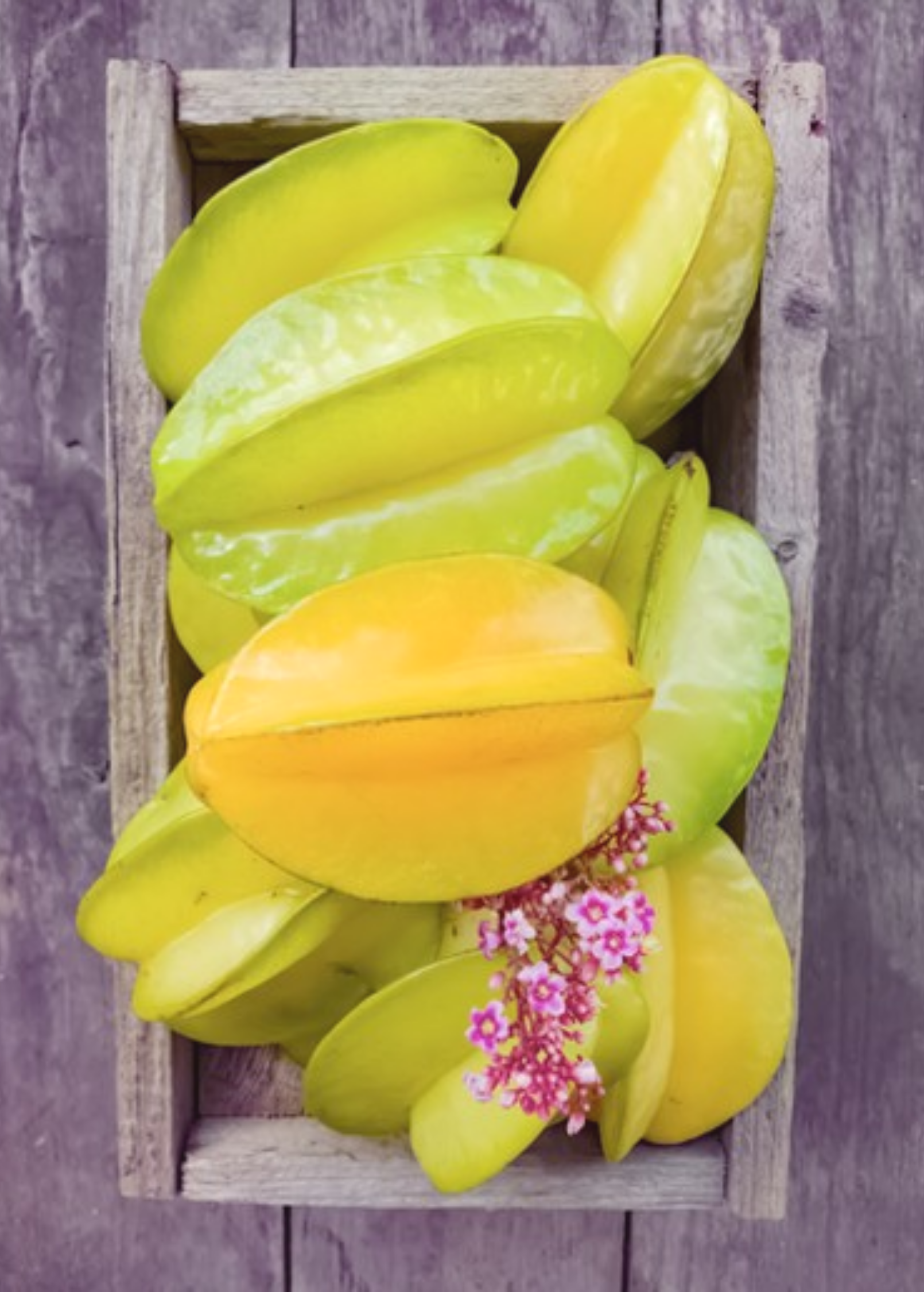 Star Fruit 'Kajang' tropical fruit tree in a large coconut coir pot, showing green star-shaped fruit and lush foliage.