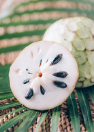 Cherimoya tropical fruit tree in a coconut coir pot, grown by Sow Exotic, with lush green leaves and healthy branches.
