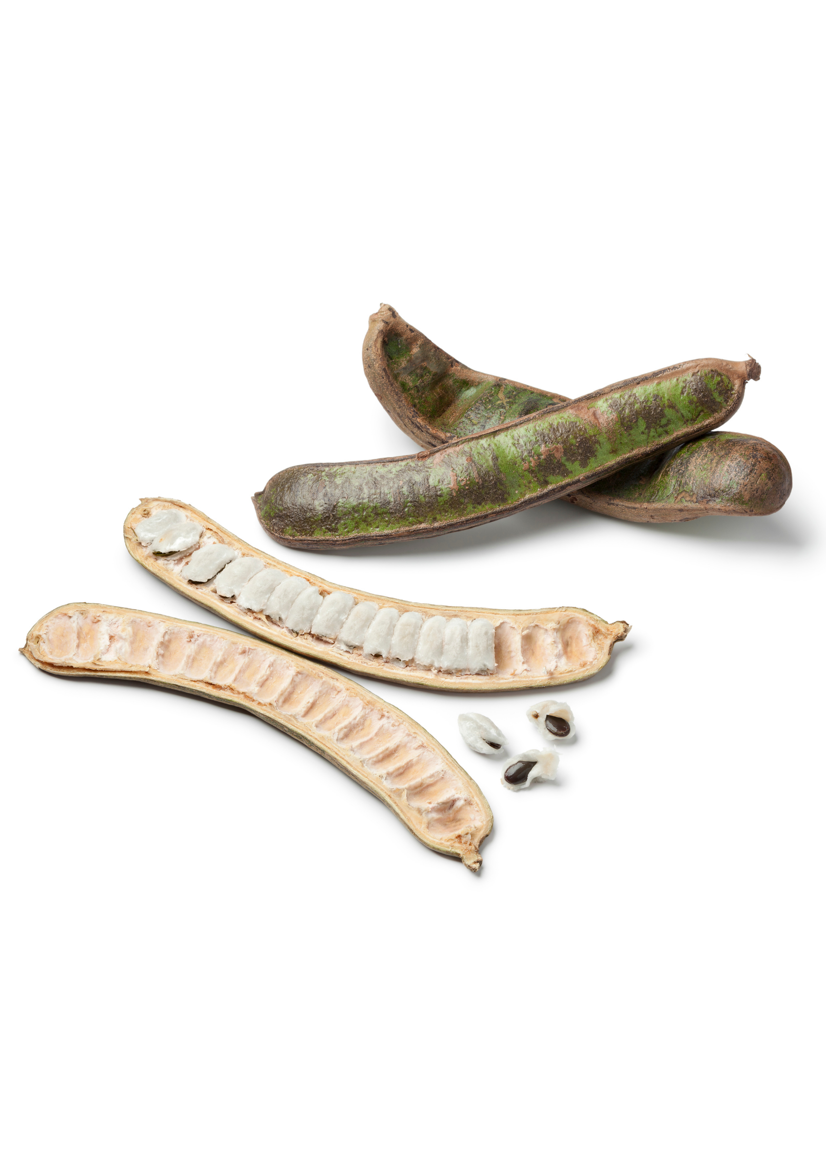 Tropical Ice Cream Bean Inga edulis tree in a coconut coir pot from Sow Exotic, showcasing lush green foliage.