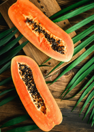 Dwarf Red Lady papaya tropical fruit tree in a coconut coir pot, showcasing lush green leaves and developing fruit.