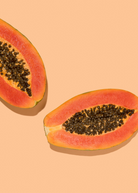Dwarf Red Lady papaya tropical fruit tree in coconut coir pot, grown by Sow Exotic, with vibrant green leaves and developing fruit