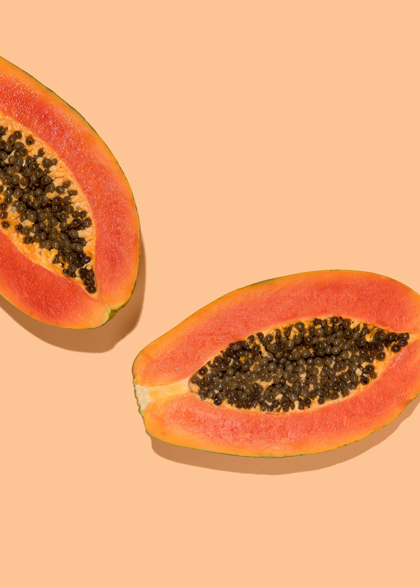 Dwarf Red Lady papaya tropical fruit tree in coconut coir pot, grown by Sow Exotic, with vibrant green leaves and developing fruit
