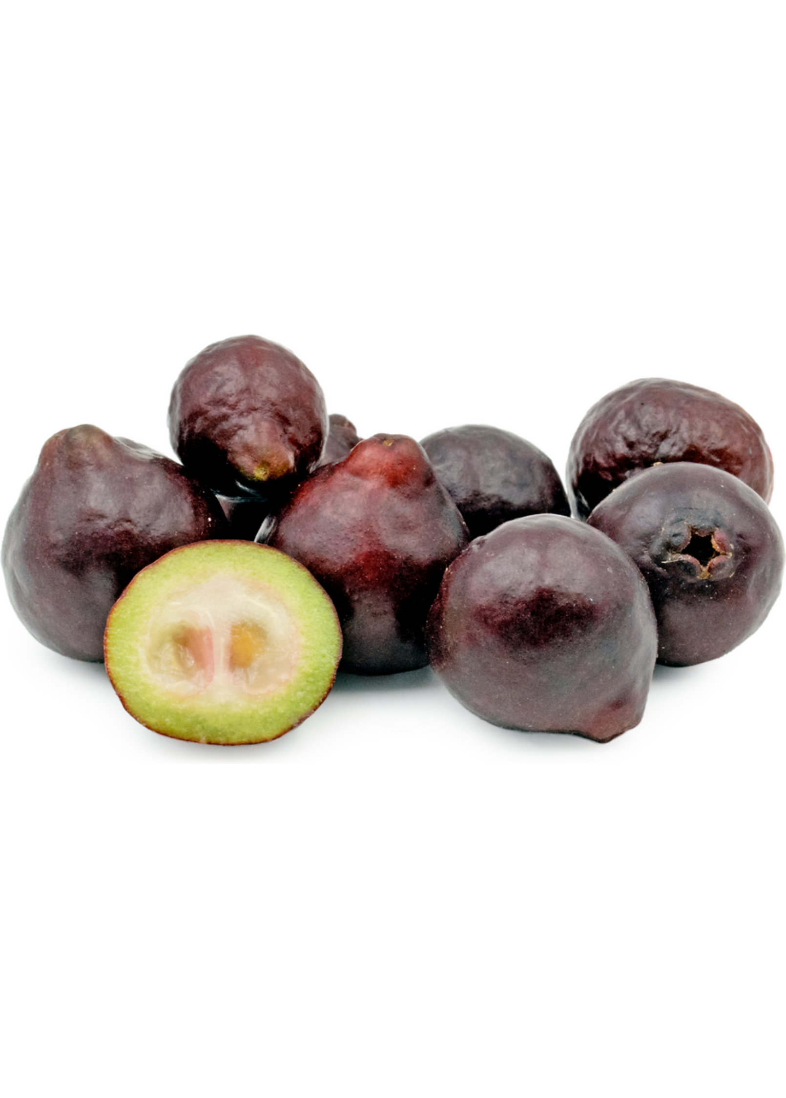 Purple Forest Guava tropical fruit tree in coconut coir pot by Sow Exotic, showcasing lush green foliage and vibrant purple fruit.