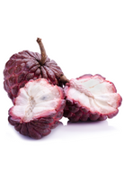 Red Sugar Apple Seedling from Sow Exotic, a tropical fruit tree in a coconut coir pot, showing vibrant young Annona squamosa L. leaves.