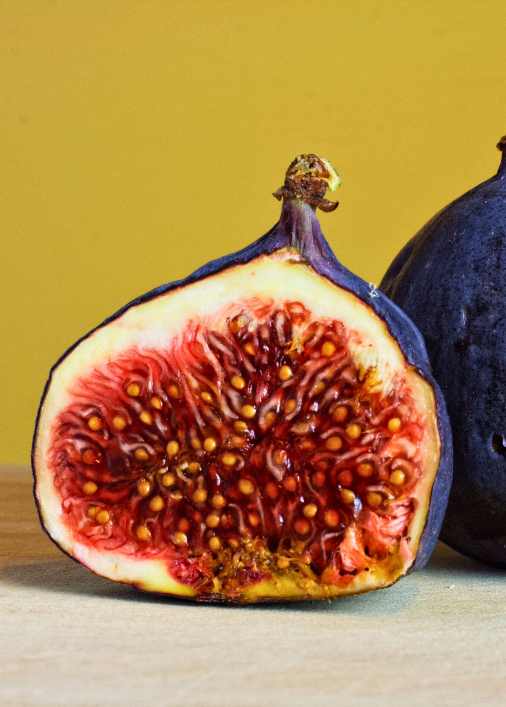 Healthy Fig 'Chicago Hardy' Ficus carica tropical fruit tree in coconut coir pot, grown by Sow Exotic.