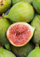 Fig 'Italian Honey' tropical fruit tree in a coconut coir pot, showcasing lush green leaves and healthy growth.