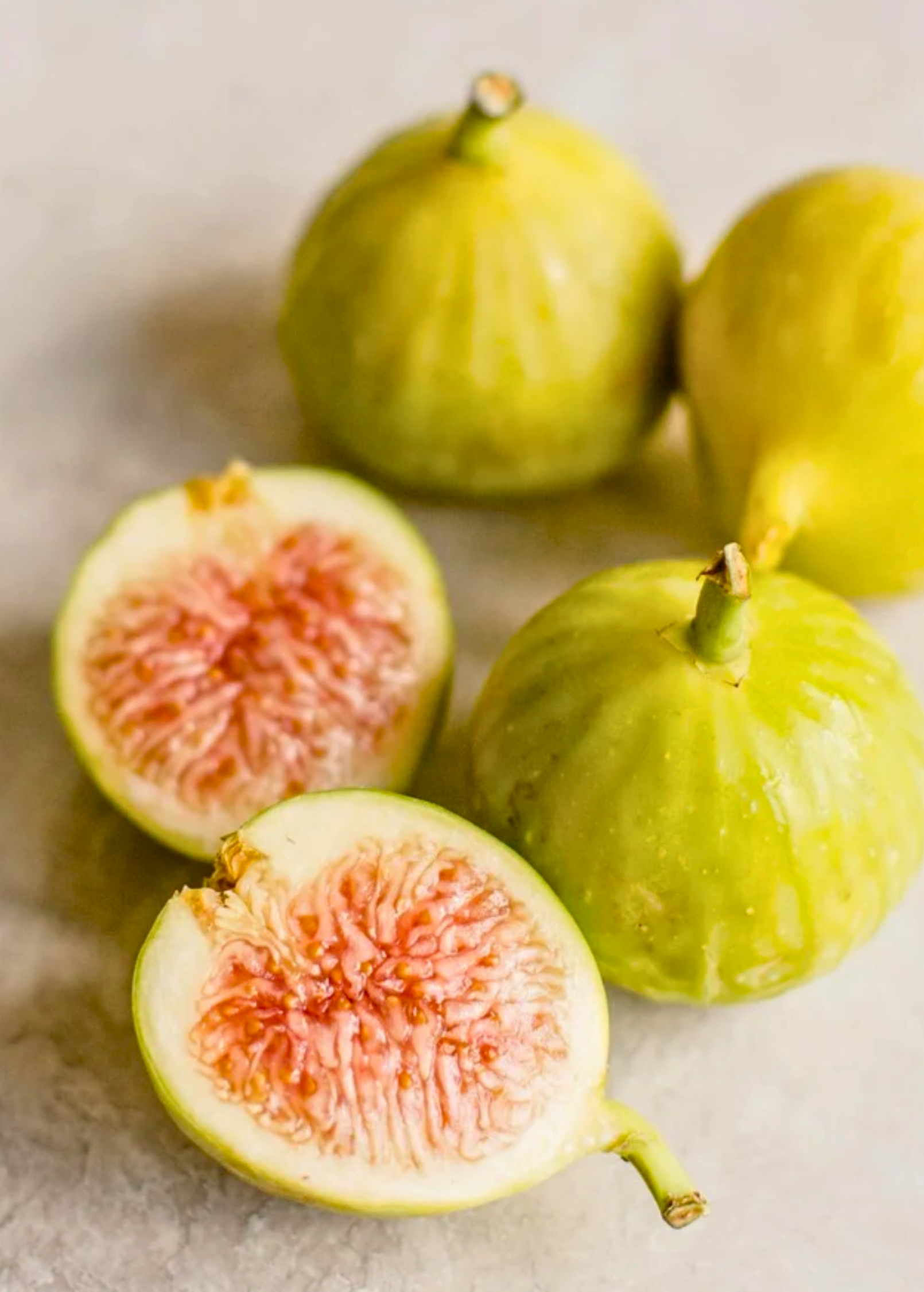 Fig 'Kadota' tropical fruit tree in coconut coir pot, healthy Ficus carica plant from Sow Exotic.
