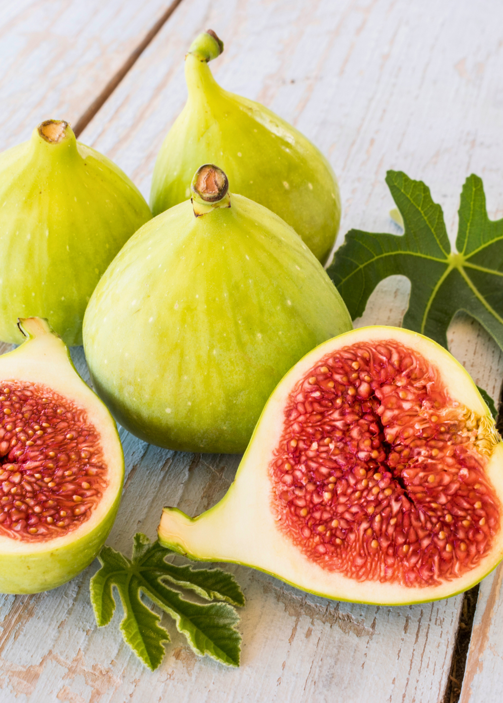 Fig 'Kadota' tropical fruit tree in coconut coir pot by Sow Exotic, showing lush green leaves and healthy growth.