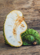 Soursop tropical fruit tree in coconut coir pot by Sow Exotic, featuring broad green leaves and healthy growth.